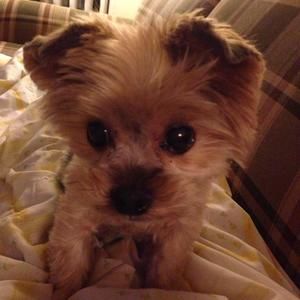 Meet your Posher, Jenny